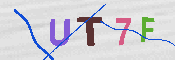 キャプチャ画像