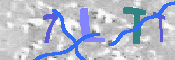 キャプチャ画像