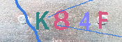 キャプチャ画像