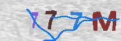 キャプチャ画像