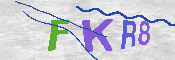 キャプチャ画像