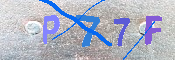 キャプチャ画像