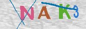 キャプチャ画像