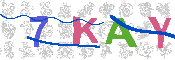 キャプチャ画像