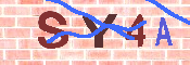 キャプチャ画像