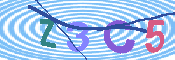 キャプチャ画像