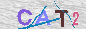 キャプチャ画像