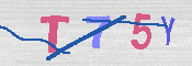 キャプチャ画像