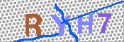 キャプチャ画像