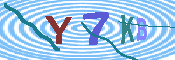 キャプチャ画像