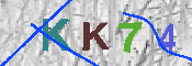 キャプチャ画像