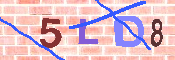 キャプチャ画像