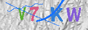 キャプチャ画像
