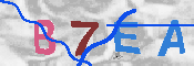 キャプチャ画像