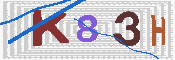 キャプチャ画像
