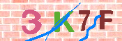 キャプチャ画像