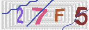 キャプチャ画像