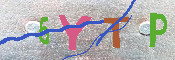 キャプチャ画像