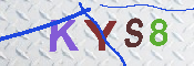 キャプチャ画像