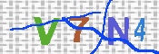 キャプチャ画像