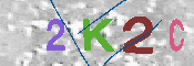 キャプチャ画像