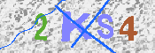 キャプチャ画像