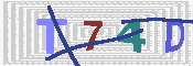 キャプチャ画像