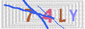 キャプチャ画像