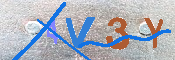 キャプチャ画像