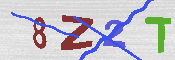 キャプチャ画像