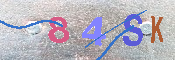 キャプチャ画像