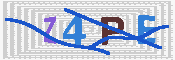 キャプチャ画像