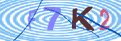 キャプチャ画像