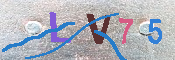 キャプチャ画像