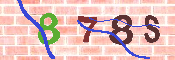 キャプチャ画像