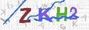 キャプチャ画像