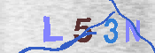 キャプチャ画像