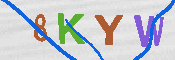 キャプチャ画像