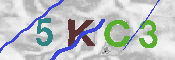 キャプチャ画像