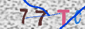 キャプチャ画像