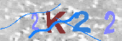 キャプチャ画像