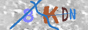 キャプチャ画像