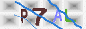 キャプチャ画像