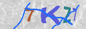 キャプチャ画像