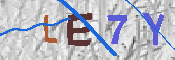 キャプチャ画像