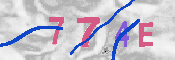 キャプチャ画像