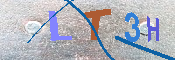 キャプチャ画像