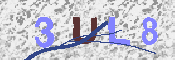 キャプチャ画像