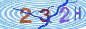 キャプチャ画像