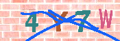 キャプチャ画像